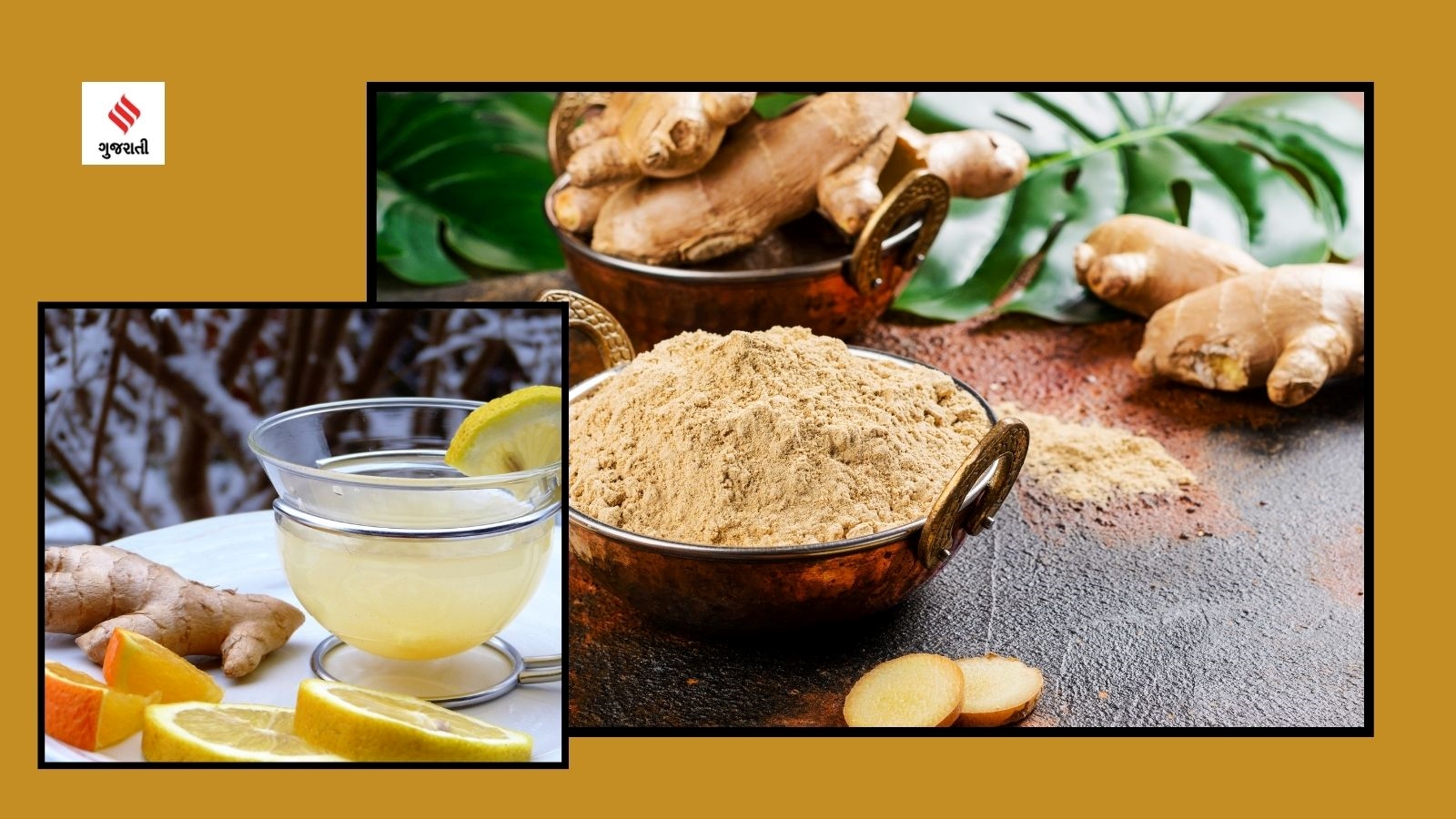 winter diet In gujarati ginger benefits for stomach issue In gujarati