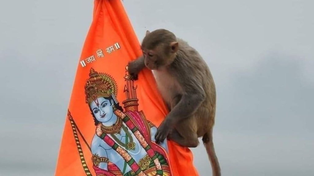 અયોધ્યા રામ મંદિરના દર્શન કરવા સ્વંય હનુમાન જી ગર્ભગૃહ પહોંચ્યા, ટ્ર્સ્ટે મંદિરમાં વાનરના આગમન પર કહી આવી વાત