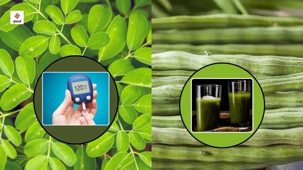 Health Tips : સરગવાની શીંગનું પાણી ડાયાબિટીસમાં અસરકારક છે? એક્સપર્ટે કહ્યું.. Health Tips : સરગવાની શીંગનું પાણી ડાયાબિટીસમાં અસરકારક છે? એક્સપર્ટે કહ્યું..