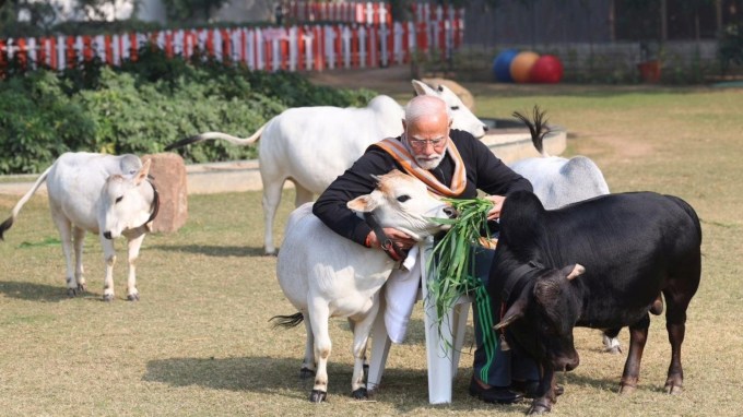 મકરસંક્રાતિના ખાસ પ્રસંગે પીએમ નરેન્દ્ર મોદી પણ પોતાના નિવાસસ્થાને ગાયોની સેવા કરતા જોવા મળ્યા હતા. પીએમ મોદી ગાયોને ચારો ખવડાવતા જોવા મળે છે.