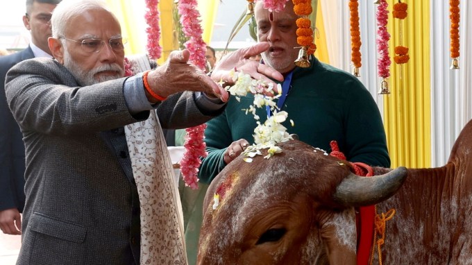 પીએમ મોદીએ પોંગલની ઉજવણી દરમિયાન ગાયની પૂજા કરી હતી.
