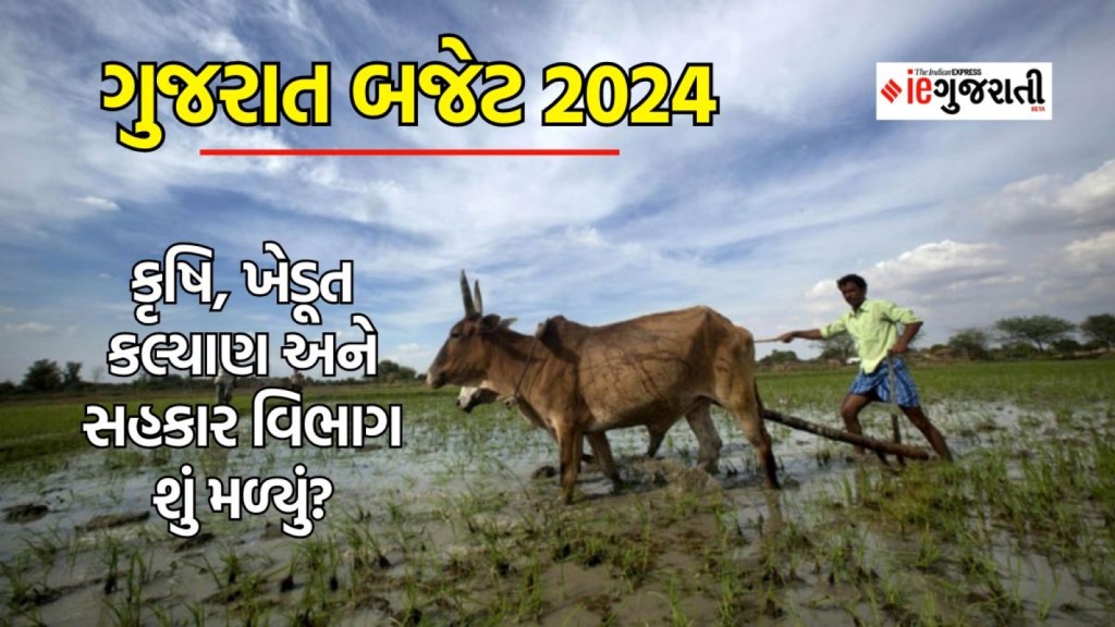 ગુજરાત બજેટ 2024 હાઇલાઇટ્સ : ખેડૂતોને વીમા રક્ષણ, કૃષિ અને સહકાર વિભાગને શું મળ્યું?