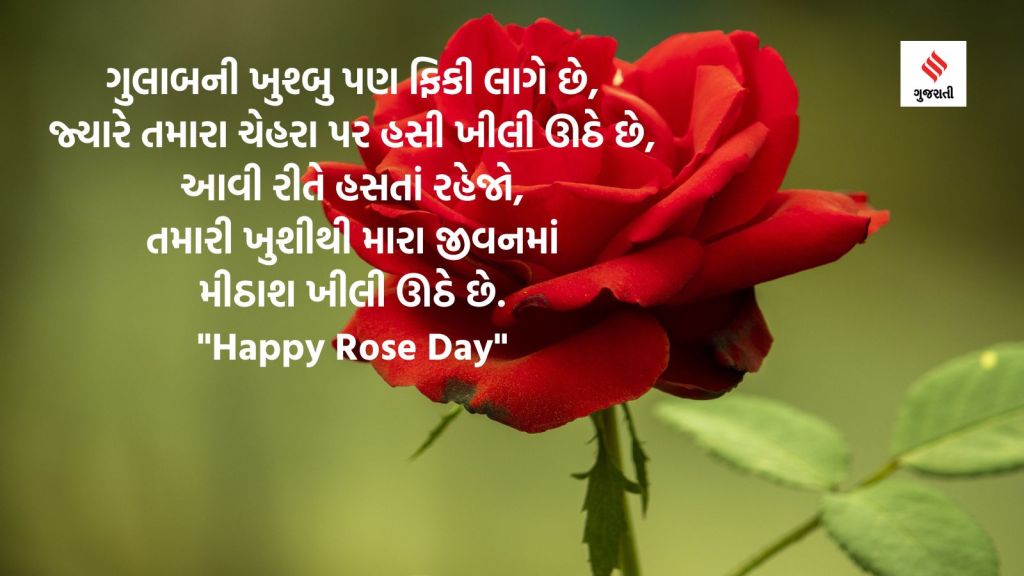 valentine week 2024 wishes on rose day images whatsapp status quotes
