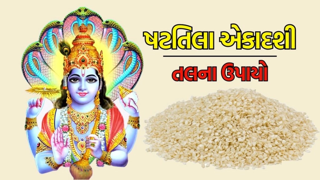 Shattila Ekadashi 2024,ષટતિલા એકાદશી પર કરો તલ સંબંધી છ કામ, વિષ્ણુ થશે પ્રસન્ન, ધન-ધાન્ય વધશે