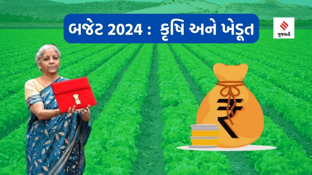Budget 2024 : બજેટ 2024માં કૃષિ ક્ષેત્ર માટે સૌથી ઓછી ફાળવણી, જાણો વિવિધ મંત્રાલયો માટે કેટલું બજેટ ફાળવ્યું