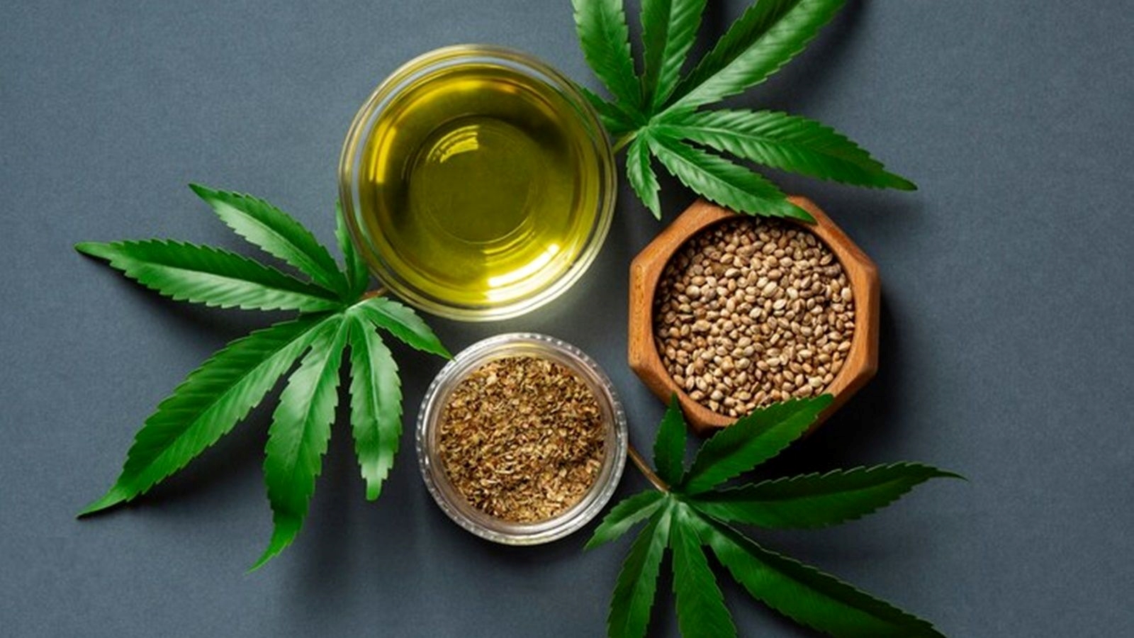 ભાંગ બીજ ના સ્વાસ્થ્ય લાભ Nutrition alert hemp seeds health benefits