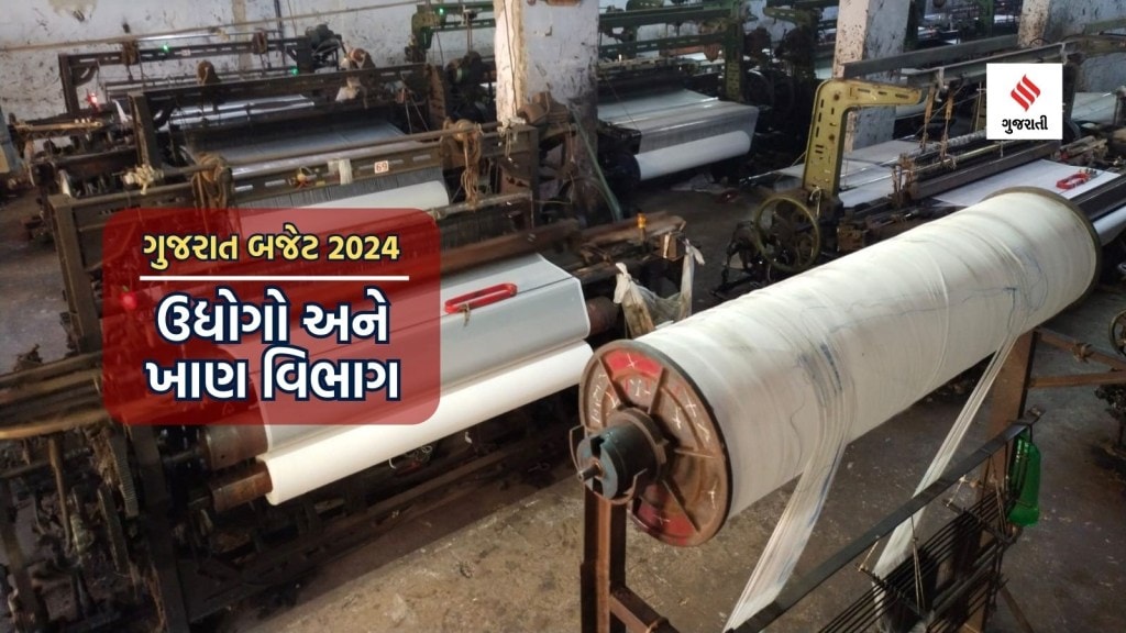 ગુજરાત બજેટ 2024 : યુવા અને મહિલા ઉદ્યોગસાહસિકોને જામીનગીરી વગર લોન મળશે, જાણો ટેક્સટાઇલ અને હીરા ઉદ્યોગને બજેટમાં શું મળ્યું ગુજરાત બજેટ 2024 : યુવા અને મહિલા ઉદ્યોગસાહસિકોને જામીનગીરી વગર લોન મળશે, જાણો ટેક્સટાઇલ અને હીરા ઉદ્યોગને બજેટમાં શું મળ્યું