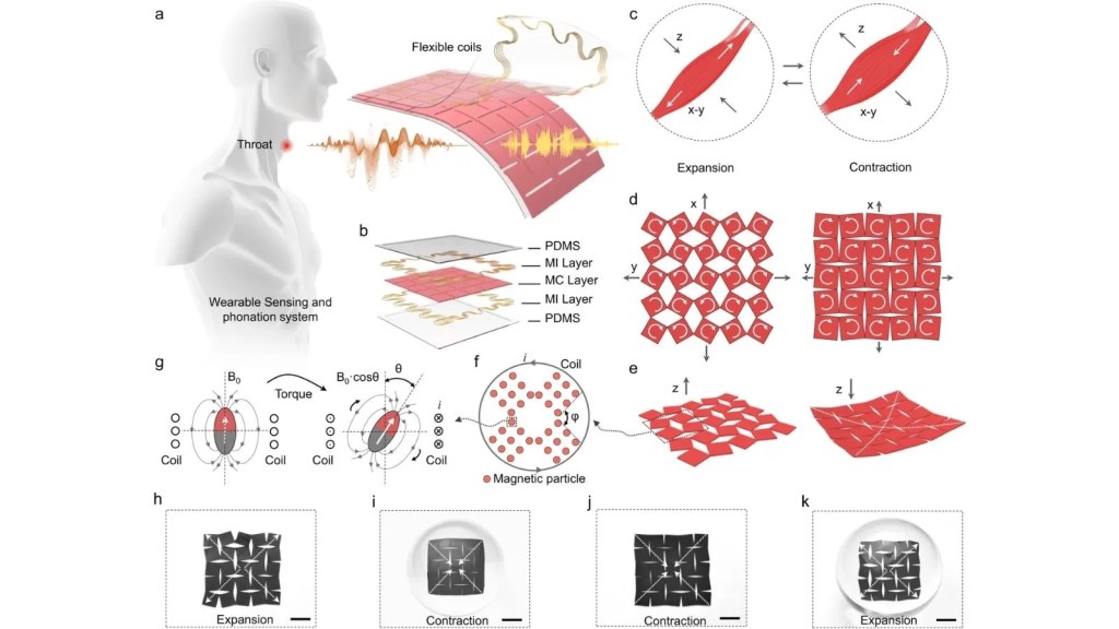 ગળામાં ખામી ધરાવતા લોકોને બોલવામાં મદદ કરશે આ ખાસ ડિવાઇસ : જાણો AI Adhesive Patch શું છે