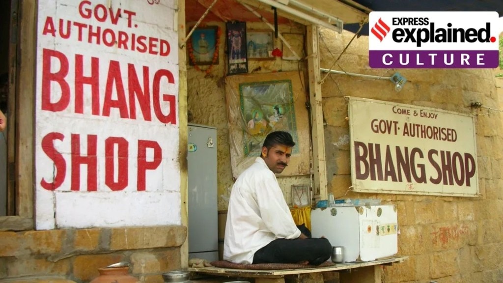 Bhang in Holi: ભાંગ શું હોય છે, હોળી દરમિયાન કેમ તેનું સેવન કરવામાં આવે છે, શું છે દેશમાં કાયદો?