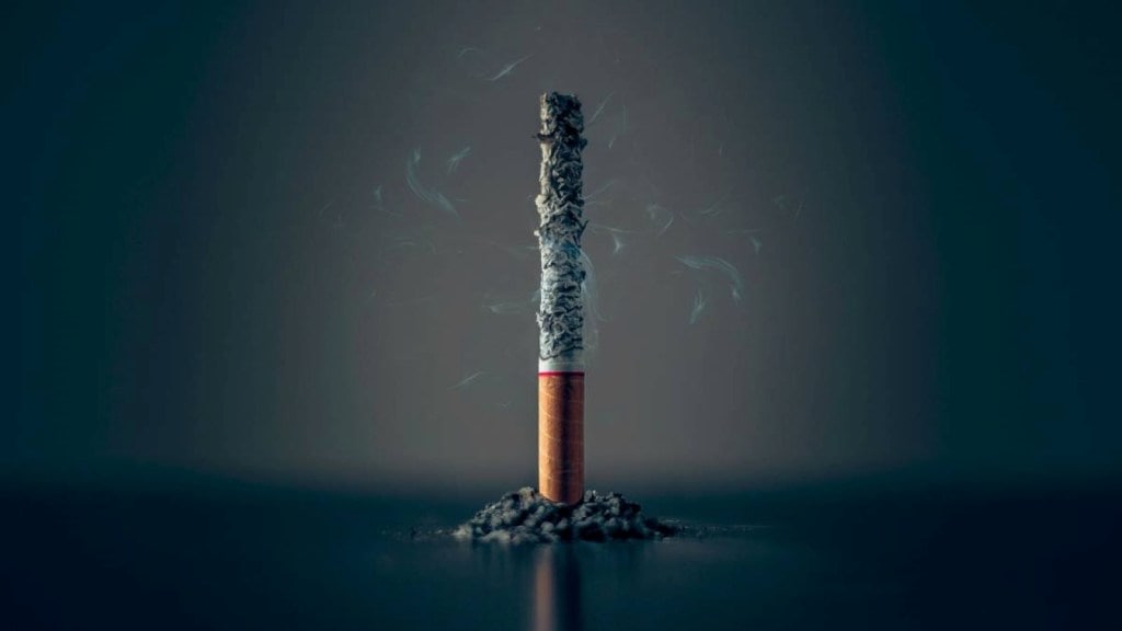 No Smoking Day 2024 : નો સ્મોકિંગ ડે કેમ ઉજવવામાં આવે છે, જાણો ઇતિહાસ અને મહત્વ No Smoking Day 2024 : નો સ્મોકિંગ ડે કેમ ઉજવવામાં આવે છે, જાણો ઇતિહાસ અને મહત્વ