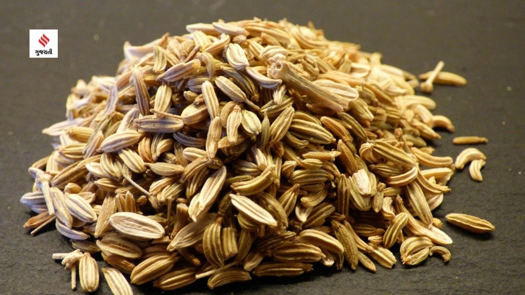 fennel seeds summer special fennel seeds uses benefits health tips in gujarati
