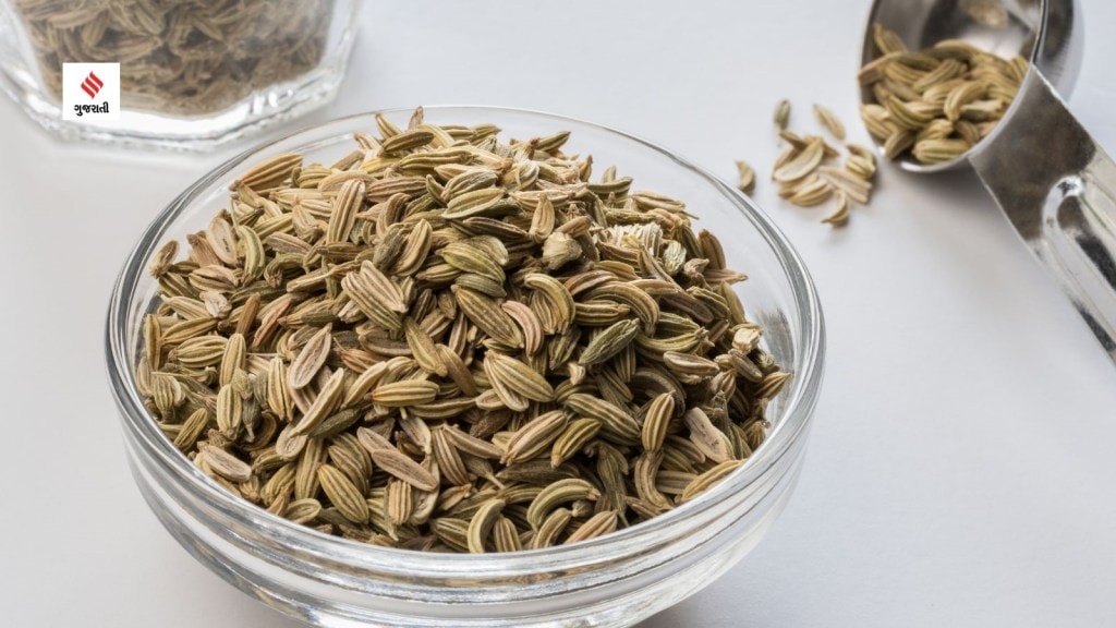 Fennel Seeds : પાચન સુધારથી લઈને બ્લડ સુગર કંટ્રોલ કરે છે, જાણો વરિયાળીના અન્ય ફાયદા Fennel Seeds : પાચન સુધારથી લઈને બ્લડ સુગર કંટ્રોલ કરે છે, જાણો વરિયાળીના અન્ય ફાયદા
