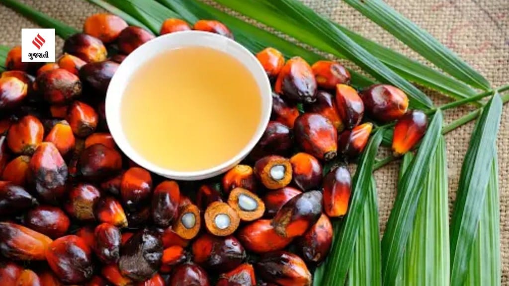 Palm Oil :શું ‘પામ ઓઇલ’ શરીર માટે હાનિકારક છે? એક્સપર્ટ શું કહે છે? Palm Oil :શું ‘પામ ઓઇલ’ શરીર માટે હાનિકારક છે? એક્સપર્ટ શું કહે છે?