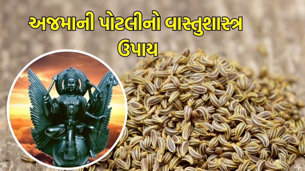 વાસ્તુ ટીપ્સ : અજમાની પોટલીનો આ ઉપાય, શનિ-રાહુ પ્રકોપથી આપશે મુક્તિ, આર્થિક તંગીમાંથી મળશે રાહત