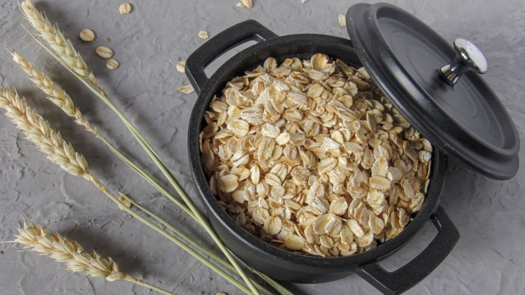 Oats Health Benefits : શું ઓટ્સ અને ઓટસ પ્રોડક્ટસ હેલ્ધી છે ? જાણો ફાયદા અને ગેર ફાયદા Oats Health Benefits : શું ઓટ્સ અને ઓટસ પ્રોડક્ટસ હેલ્ધી છે ? જાણો ફાયદા અને ગેર ફાયદા