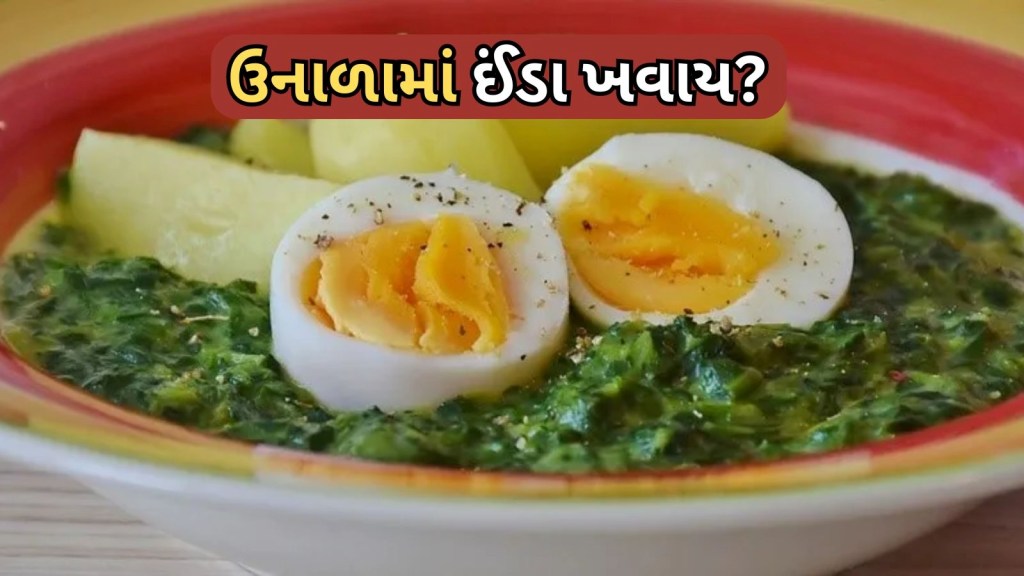 Eggs Eaten in Summer : શું ઉનાળામાં ઈંડા ખાવા જોઈએ કે નહીં? એક્સપર્ટ પાસેથી જાણો બધું Eggs Eaten in Summer : શું ઉનાળામાં ઈંડા ખાવા જોઈએ કે નહીં? એક્સપર્ટ પાસેથી જાણો બધું