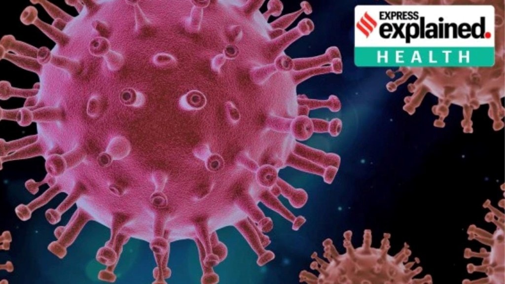 Flirt Covid Variant : કોવિડ વાયરસનો નવો FLiRT ટાઈપ વિષે જાણો, શું તે વધુ ફેલાઈ શકે છે?