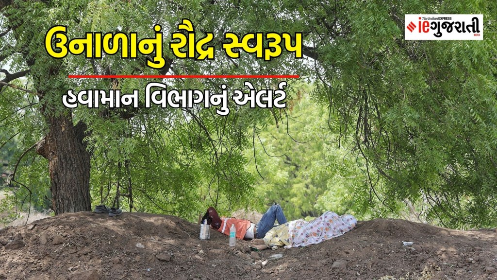 ગુજરાત વેધર : ગરમીએ મચાવ્યો હાહાકાર, ઘરની બહાર નીકળતા પહેલા સાવધાન, હવામાન વિભાગનું એલર્ટ ગુજરાત વેધર : ગરમીએ મચાવ્યો હાહાકાર, ઘરની બહાર નીકળતા પહેલા સાવધાન, હવામાન વિભાગનું એલર્ટ
