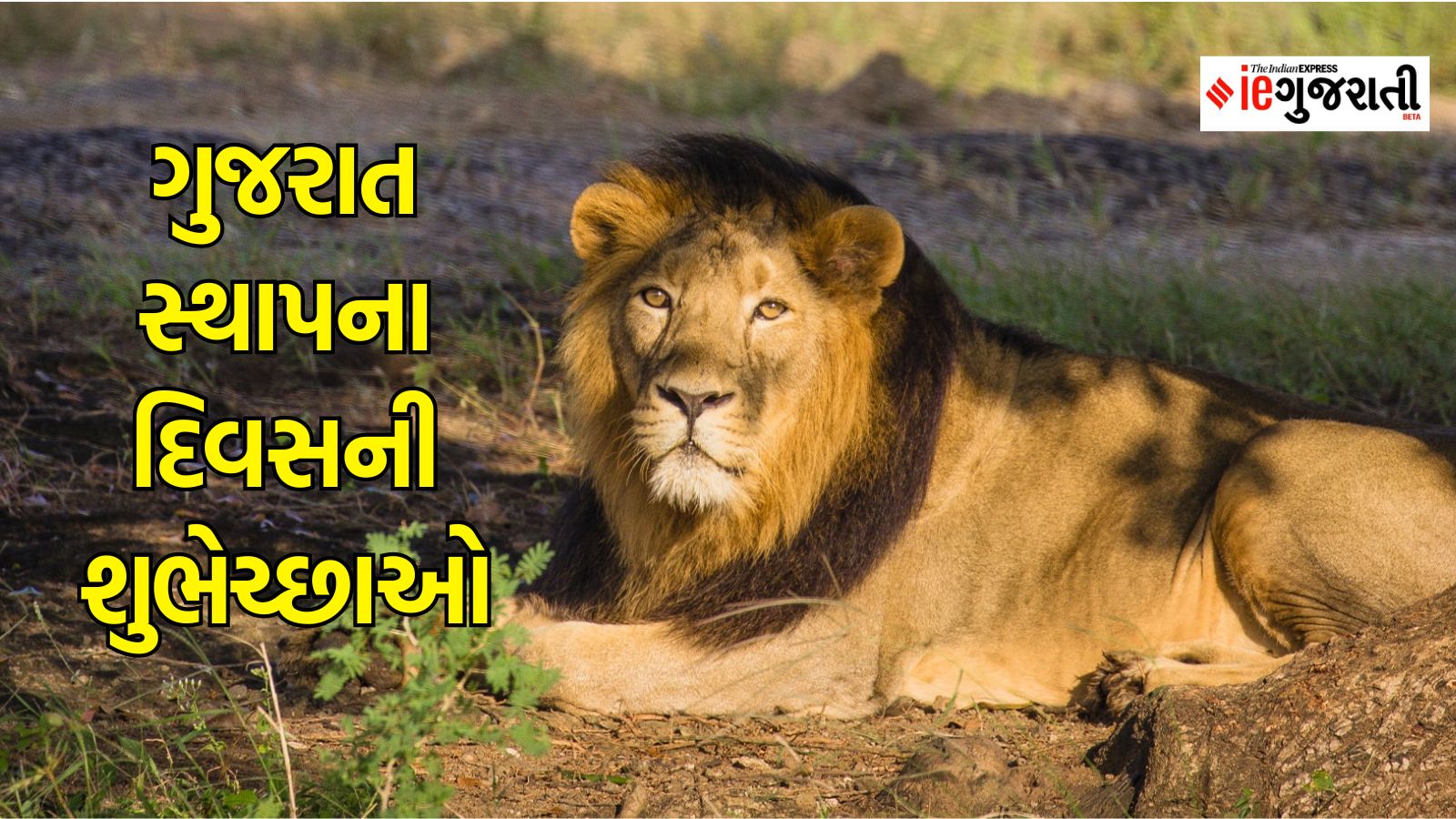 Happy Gujarat Day 2024 Share Sweet Wishes, Messages, Quotes, WhatsApp