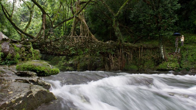 માવલીનોંગ, મેઘાલય<br>મેઘાલયના પૂર્વ ખાસી હિલ્સ જિલ્લામાં આવેલું, માવલીનોંગ એક આદર્શ ગામ છે, જે તેની સ્વચ્છતા અને આકર્ષક દૃશ્યો માટે જાણીતું છે. તાપમાન ભાગ્યે જ 23 ડિગ્રી સેલ્સિયસ કરતાં વધતુ હશે, તે પ્રકૃતિ પ્રેમીઓ માટે સ્વર્ગ સમાન છે. અહીં તમે વાંસના પુલ જોઈ આશ્ચર્યચકિત થઈ જશો, જીવંત મૂળ પુલ પર આશ્ચર્ય થશે, અથવા ફક્ત આ અનોખા ગામની સુંદરતામાં લીન થઈ જાઓ.