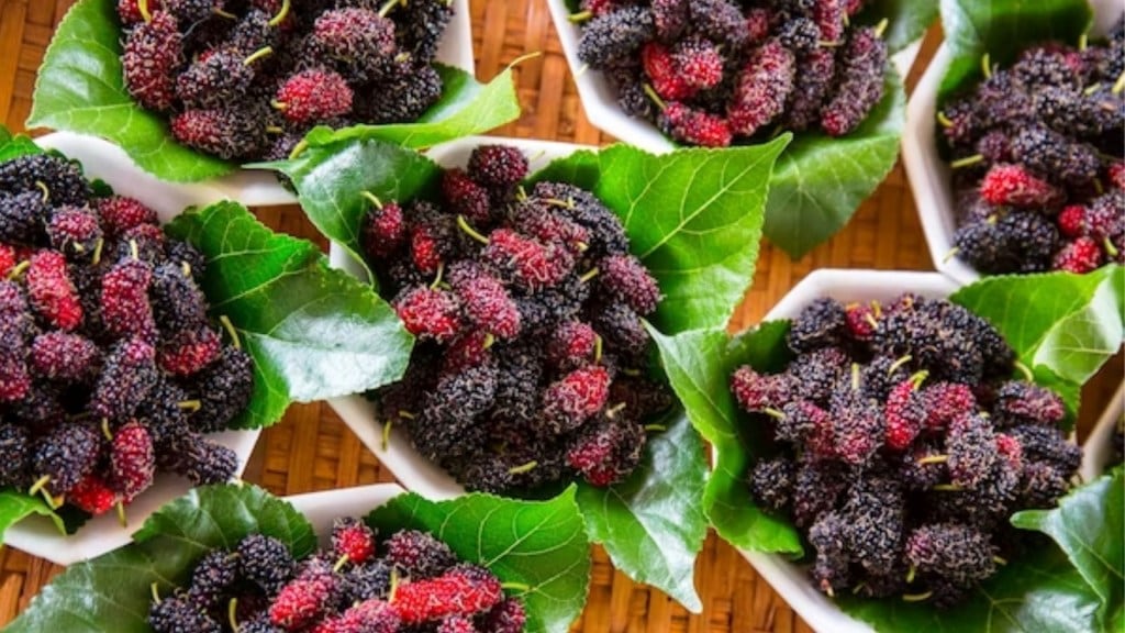 Mulberry Health Benefits