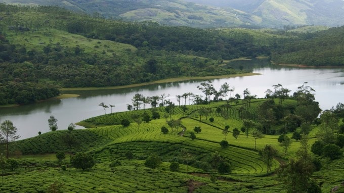 <strong>મુન્નાર, કેરળ (Munnar, Kerala)</strong><br>મુન્નાર કપલ માટે હનીમૂન માટે લોકપ્રિય સ્થળ છે. દક્ષિણ ભારતનું સ્વર્ગ ગણાતા મન્નુરમાં સુંદર ઉંચા પહાડો અને ચાના બગીચામાં કપલને રોમાન્સ માણવાની મજા પડે છે. મુન્નારના લોકપ્રિય ફરવાલાયક સ્થળોમાં મટ્ટુપેટ્ટી ડેમ, એરાવિકુલમ નેશનલ પાર્ક, અટ્ટુકદ વોટરફોલ્સ, ટાટા ટી મ્યુઝિયમ, ડ્રીમ લેન્ડ ફન એન્ડ એડવેન્ચર, ફોટો પોઇન્ટ, ચિન્નાર વાઇલ્ડલાઇફ સેન્ચ્યુરી, કુંડલા ડેમ તળાવમાં બોટિંગ છે. કપલ માટે અહીં રોક ક્લાઇમ્બિંગ, પેરાગ્લાઇડિંગ કરવું રોમાંચક અનુભવ બની રહે છે. (Image - Social Media)