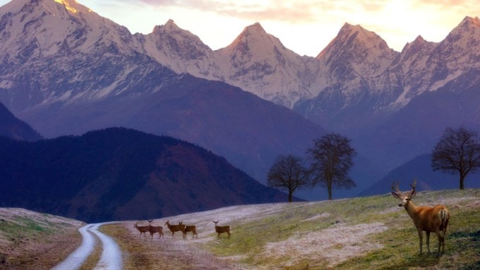 મુન્સિયારી, ઉત્તરાખંડ<br>ઉત્તરાખંડના પિથોરાગઢ જિલ્લામાં આવેલું એક મનોહર પહાડી નગર મુન્સિયારી ઉનાળાની ગરમીથી ઠંડકથી રાહત આપે છે. તાપમાન ભાગ્યે જ 22 ડિગ્રી સેલ્સિયસ કરતાં વધતુ હશે, જો તમે સાહસની શોધમાં છો તો મુનસિયારી સાહસ શોધનારાઓ અને પ્રકૃતિ પ્રેમીઓ માટે સ્વર્ગ છે.