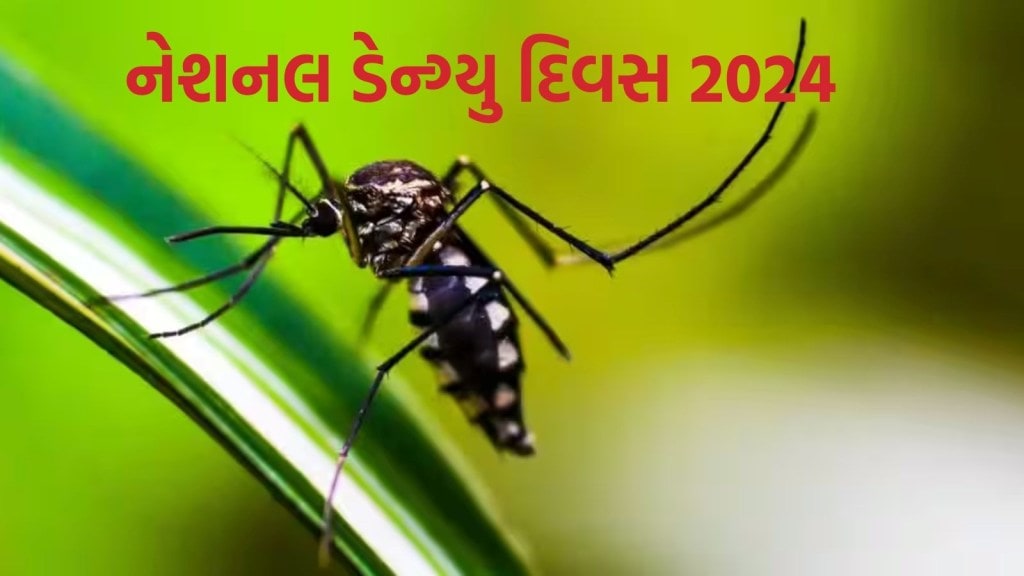 National Dengue Day 2024 : નેશનલ ડેન્ગ્યુ દિવસ કેમ મનાવવામાં આવે છે, જાણો થીમ, ઇતિહાસ અને મહત્વ