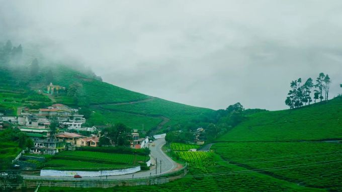 <strong>ઉટી, તમિલનાડુ (Ooty, Tamil Nadu)</strong><br>ઉટીને હિલ સ્ટેશનની રાણી કહેવામાં આવે છે. ઉંટી તમિલનાડુનું પ્રખ્યાત પ્રવાસન સ્થળ અને કપલ માટે બેસ્ટ હનીમૂન ડેસ્ટિનેશન છે. સુંદર કુદરતી દ્રશ્યો વચ્ચે રોમાન્સ માણવા માંગતા કપલ માટે ઉટી સૌથી શ્રેષ્ઠ સ્થળ છે. લાઇફ પાર્ટનર સાથે હાથમાં હાથ રાખી ઉંટીના તળાવમાં બોટિંગનો અનુભવ તમારી માટે અદભૂત અનુભવ રહેશે. રંગબેરંગી ફૂલોથી ભરેલા બોટનિકલ ગાર્ડન અને રમણિય ચાના બગીચા વચ્ચે તમને પણ ફિલ્મોના રોમેન્ટિક સીન યાદ આવી જશે. યુનેસ્કો વર્લ્ડ હેરિટેજમાં સામેલ નીલગીરી માઉન્ટેન રેલવે પર રોમેન્ટિક રાઇડ અચૂક કરવી જોઇએ. ઉટીનું હનીમૂન ચોક્કસપણે તમારા હૃદયને સ્પર્શી જશે.(Image - Social Media)