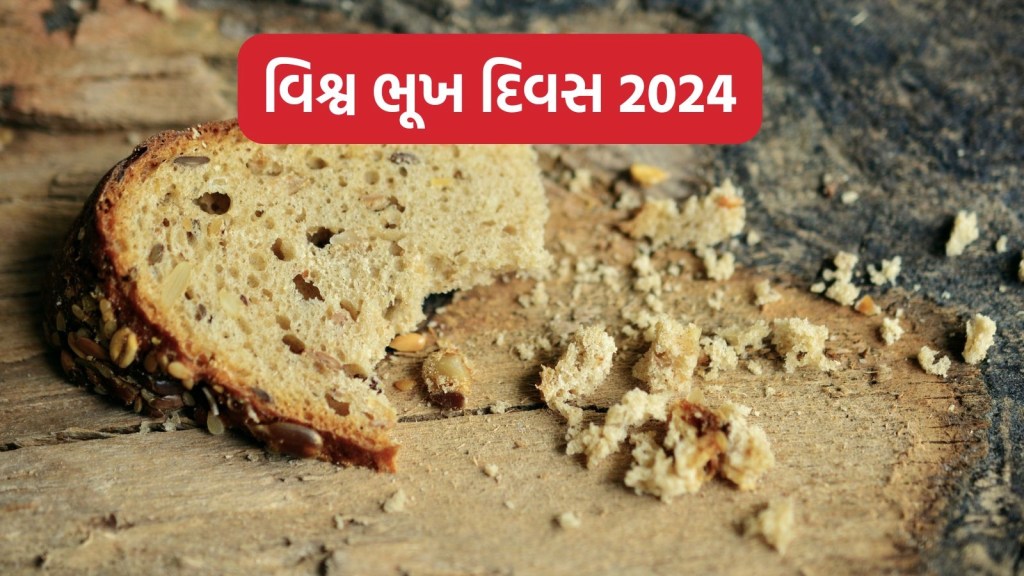 World Hunger Day 2024 : વિશ્વ ભૂખ દિવસ કેમ મનાવવામાં આવે છે, જાણો ઇતિહાસ અને મહત્વ World Hunger Day 2024 : વિશ્વ ભૂખ દિવસ કેમ મનાવવામાં આવે છે, જાણો ઇતિહાસ અને મહત્વ