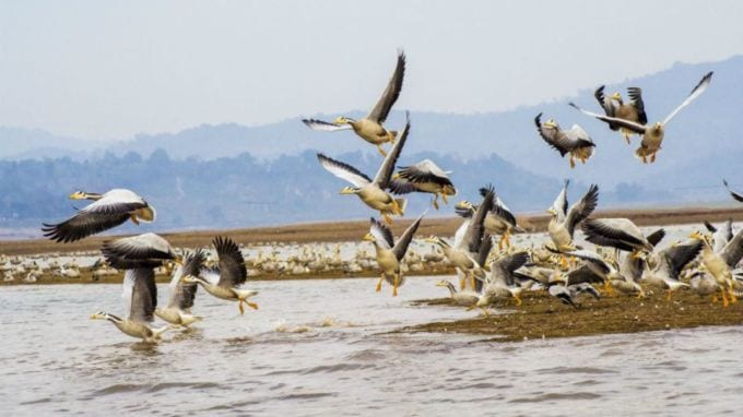 <strong>ધર્મશાલા કેવી રીતે પહોંચવું?</strong><br>ધર્મશાલા હિમાચલ પ્રદેશમાં આવેલું છે. અમદાવાદથી ધર્મશાલા જવા માટે નજીકનું એરપોર્ટ કાંગરા એરપોર્ટ છે, જે 15 કિમી દૂર છે. દિલ્હી અને ચંડીગઢથી કાંગરા એરપોર્ટ માટે ફ્લાઇટ મળે છે. જો તમે ટ્રેન કે ટ્રાવેલમાં જઇ રહ્યા છો, તો અમદાવાદથી ટ્રેન કે બસમાં દિલ્હી પહોંચ્યો. ત્યાંથી તમને ધર્મશાલા માટે બસો અને ખાનગી વાહનો મળશે. (Photo - Himachal Pradesh Tourism)