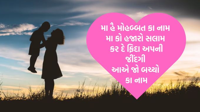 કહેવાય છે કે, સ્ત્રી જ્યારે બાળકને જન્મ આપે છે ત્યારે તે પૂર્ણ સ્ત્રી બને છે. ગર્ભમાં 9 મહિના રાખ્યા બાદ કોઇ સ્ત્રી જ્યારે બાળકને જન્મ આપ્યા બાદ તેનો ચેહરો જુએ છે ત્યારે પ્રસવની અસહ્ય પીડા પણ ભૂલી જાય છે. માતા માટે તેનું બાળક જ સર્વસ્વ હોય છે. માતા તેના બાળક માટે ગમે તેની સાથે લડવા તૈયાર હોય છે. તે માતા માનવ હોય કે, પશુ - પ્રાણી. સિંહણ તેના બચ્ચા માટે જંગલના સાજા સિંહ સામે બાથ ભીડે છે.