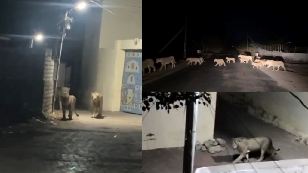 Today Gujarat Latest News 24th June 2024 - 5