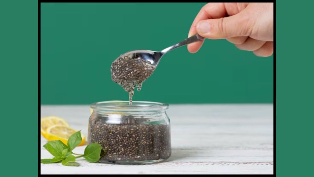 Chia Seeds : ખાલી પેટ ચિયા સીડ્સનું સેવન શા માટે કરવું જોઈએ? Chia Seeds : ખાલી પેટ ચિયા સીડ્સનું સેવન શા માટે કરવું જોઈએ?