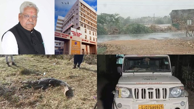 Today Gujarat Latest News 19th June 2024 | ગુજરાતના આજના સમાચાર : ગુજરાતના આજના લેટેસ્ટ સમાચારની વાત કરીએ તો, રાજ્યમાં સૌરાષ્ટ્ર અને દક્ષિણ ગુજરાતમાં ચોમાસુ જામેલુ જોવા મળી રહ્યું છે, સૌરાષ્ટ્રના અમરેલી, ગીર સોમનાથ, જુનાગઢ સહિતના જિલ્લામાં મેઘરાજા છેલ્લા ચાર દિવસથી અવિરત બેટિંગ કરી રહ્યા છે. તો દક્ષિણ ગુજરાતમાં પણ વલસાડ, ભરૂચ, નવસારી, સુરત જિલ્લામાં વરસાદી ઝાપટા જોવા મળી રહ્યા છે. આ બાજુ રાજ્યસભા મંત્રી ભિખુસિંહ પરમારની અચાનક તબિયત લથડતા અમદાવાદ યુ.એન. મહેતા હોસ્પિટલમાં દાખલ કરાયા છે. બ્લડ પ્રેશર અચાનક વધી જતા તબિયત લથડી છે. તો અમદાવાદમાં રખડતા ઢોર પકડવા ગયેલા અધિકારી પર એલિસબ્રિજ વિસ્તારમાં હુમલાની ઘટના સામે આવી છે. તો જોઈએ ગુજરાતના આજના લેટેસ્ટ સમાચારની અપડેટ્સ.