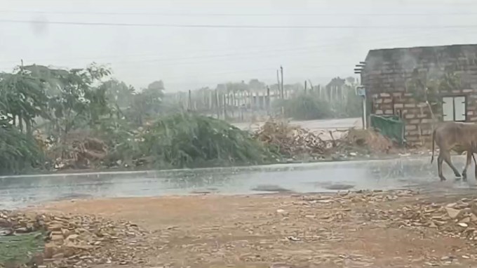 અમરેલીના જાફરાબાદમાં વરસાદ : આજે વહેલી સવારે અમરેલી જિલ્લાના જાફરાબાદ કોસ્ટલ બેલ્ટ વિસ્તારમાં મેઘરાજાએ ફરી ધમાકેદાર મેઘ મહેર કરી છે. છેલ્લા ત્રણ-ચાર દિવસથી અમરેલી જિલ્લાના વિવિધ તાલુકામાં વરસાદ વરસી રહ્યો છે. ત્યારે સવારે ધીમી ધારે અમરેલી ગ્રામ્યના દેવભૂમિ દ્વારકા, ચક્કરગઢ, ગોખરવાલા ગામમાં વરસાદ વરસી રહ્યો છે.