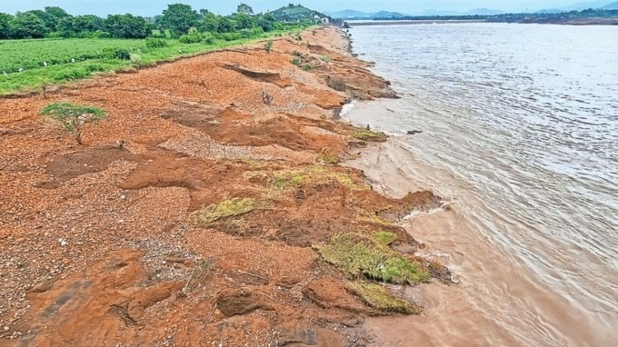 નર્મદા નદીમાં મગર મહિલાને ખેંચી ગયો : નર્મદા જિલ્લાના સ્ટેચ્યુ ઓફ યુનિટી નજીક ગોરા ગામ નજીક એક મહિલાને મગર નદીમાં ખેંચી ગયાની ઘટના બાદ વિસ્તારમાં ભયનો માહોલ સર્જાયો હતો. તંત્રએ તત્કાલિક નર્મદા નદીમાં જવા સામે લાદવામાં આવેલા પ્રતિબંધનું પાલન કરવા રહેવાસીઓને "અપીલ" જાહેર કરી. પ્રાપ્ત માહિતી અનુસાર, કપડા ધોતી વખતે મગર મહિલાને ખેંચી ગયો હતો. અધિક જિલ્લા મેજિસ્ટ્રેટ સી.કે. ઉંધારે આદેશ કર્યો છે કે, નર્મદા નદી અથવા અન્ય પાણીમાં નાહવા પર પ્રતિબંધ છે. સંસ્થાઓ અથવા અન્ય કોઈ હેતુ માટે વિવિધ ખતરનાક સ્થળોએ જવા સામે પ્રતિબંધિત આદેશો જાહેર કરવામાં આવ્યા છે.