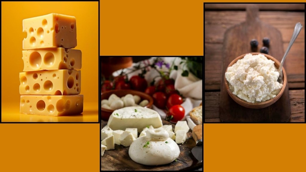 Types Of Cheese : તમને ક્યુ ચીઝ ખાવું પસંદ છે? દુનિયામાં છે આટલી ચીઝની વેરાયટી Types Of Cheese : તમને ક્યુ ચીઝ ખાવું પસંદ છે? દુનિયામાં છે આટલી ચીઝની વેરાયટી