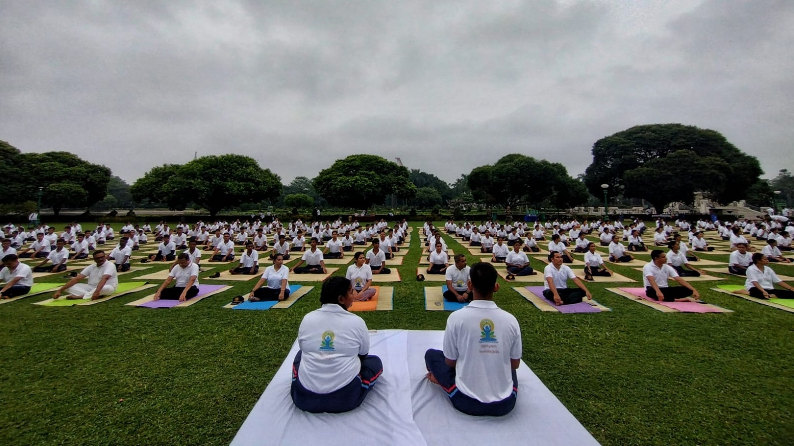 Lazy Load Placeholder Image