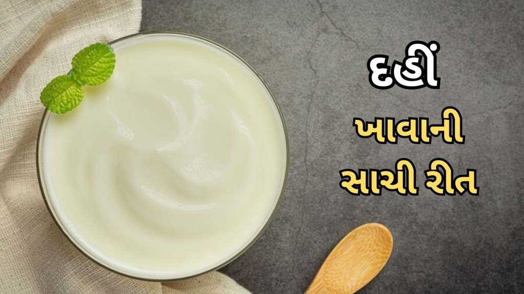 દહીં સ્વાસ્થ્યનો ખજાનો : 90 ટકા ને નથી ખબર દહીં ખાવાની સાચી રીત, જાણો આયુર્વેદ એક્સપર્ટ શું કહે છે