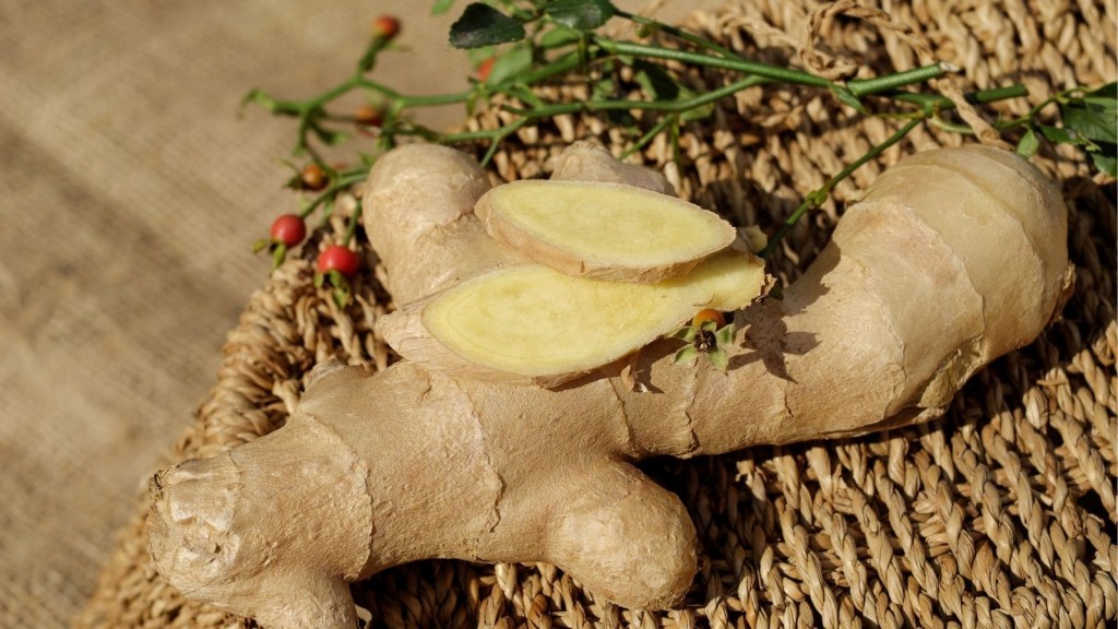 Ginger : સવારે ખાલી પેટ આદુ ખાવું સ્વાસ્થ્ય માટે કેટલું યોગ્ય?