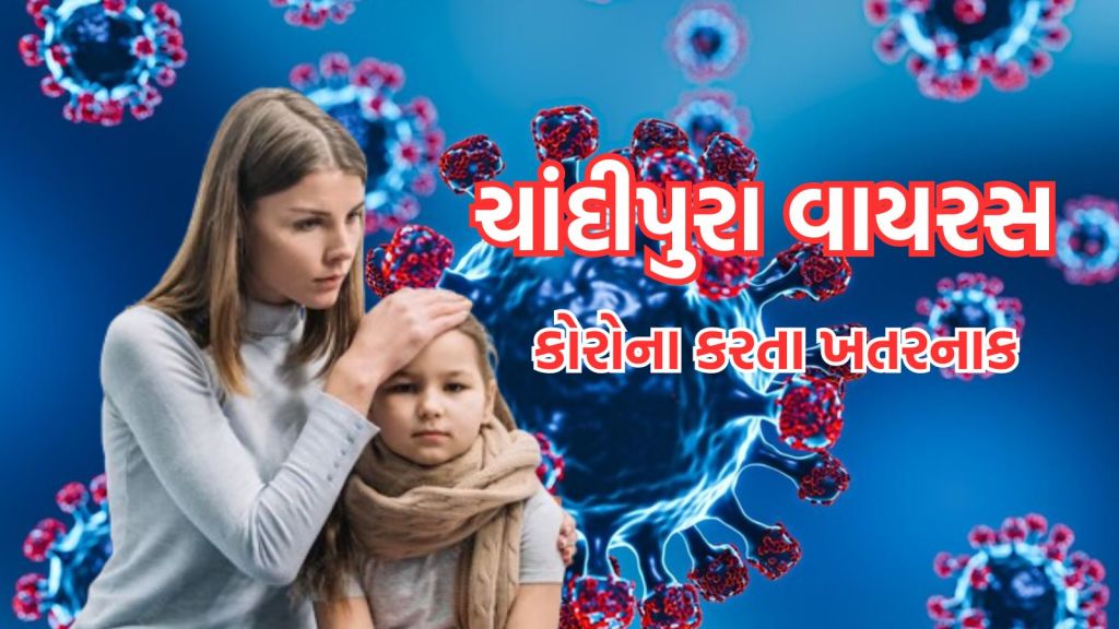 Chandipura Virus: ચાંદીપુરા વાયરસ કોરોના કરતા ખતરનાક, ગુજરાતમાં 14 બાળકના મોતથી હાહાકાર, જાણો ક્યા કેટલા કેસ નોંધાયા Chandipura Virus: ચાંદીપુરા વાયરસ કોરોના કરતા ખતરનાક, ગુજરાતમાં 14 બાળકના મોતથી હાહાકાર, જાણો ક્યા કેટલા કેસ નોંધાયા