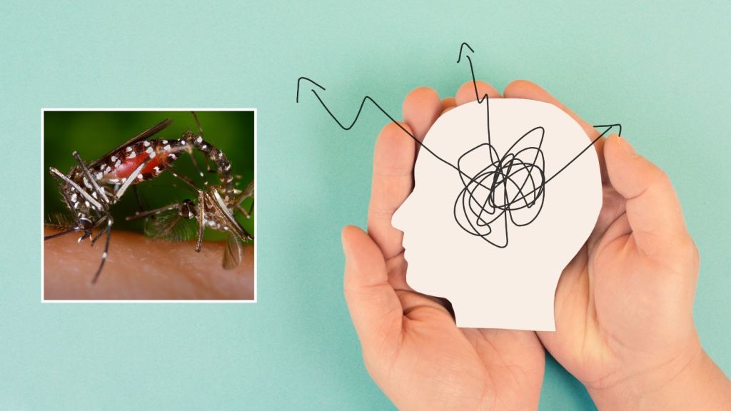 Dengue : વરસાદના લીધે ડેન્ગ્યુના કેસોમાં વધારો, મગજ અને નર્વસ સિસ્ટમ પર ડેન્ગ્યુની ગંભીર અસર થઇ શકે? જાણો