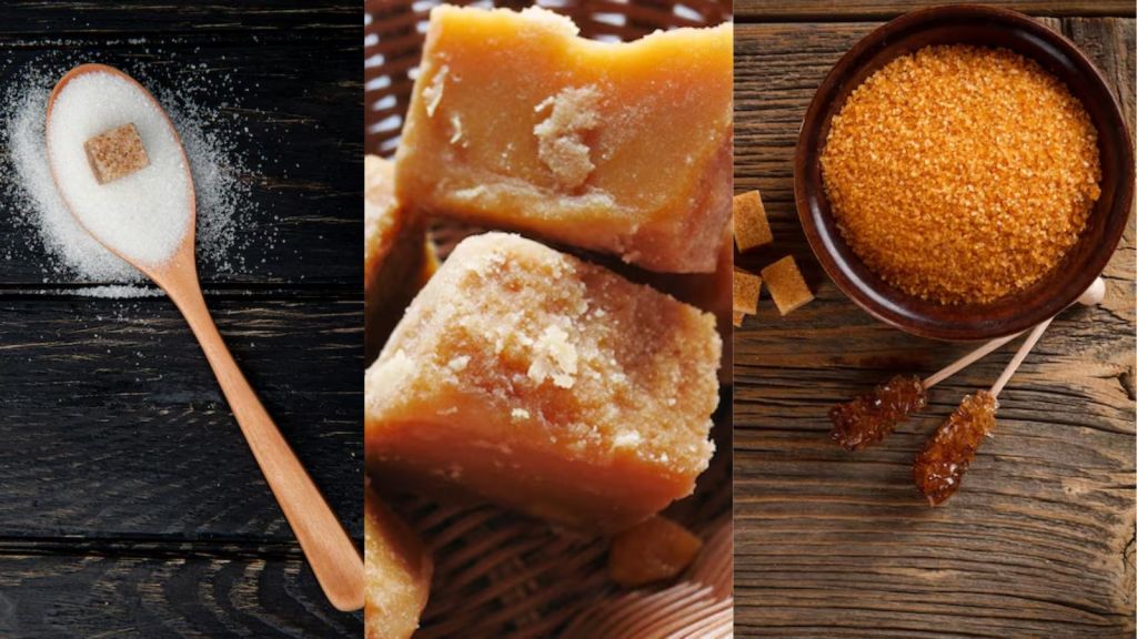 Diabetes Diet : મધ, ગોળ અને અન્ય કુદરતી શર્કરામાંથી શું ડાયાબિટીસના દર્દીઓ માટે સારું? Diabetes Diet : મધ, ગોળ અને અન્ય કુદરતી શર્કરામાંથી શું ડાયાબિટીસના દર્દીઓ માટે સારું?