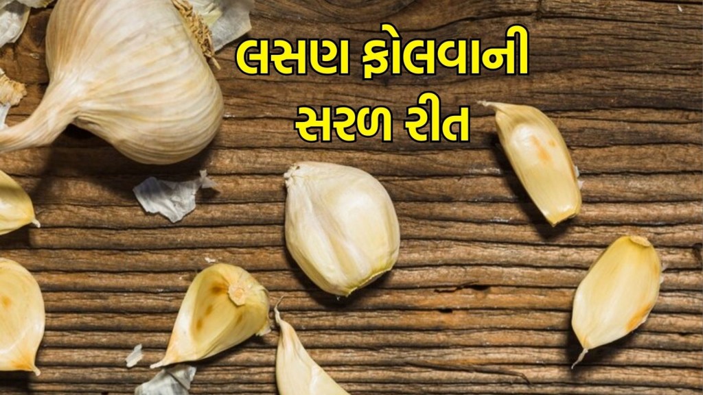 Kitchen Tips : લસણ ફોલવાનો કંટાળો આવે છે અને વધારે સમય લાગે છે? આ ત્રણ સરળ ટીપ્સથી 20 સેકન્ડમાં થઈ જશે તમારું આ કામ Kitchen Tips : લસણ ફોલવાનો કંટાળો આવે છે અને વધારે સમય લાગે છે? આ ત્રણ સરળ ટીપ્સથી 20 સેકન્ડમાં થઈ જશે તમારું આ કામ