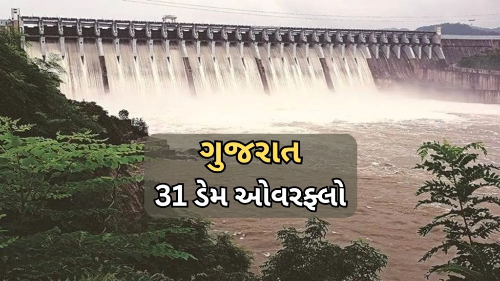 Gujarat Dam Water Storage : ગુજરાતમાં 31 જળાશયો સંપૂર્ણ છલકાતા હાઈ એલર્ટ, સરદાર સરોવર ડેમ 55 ટકા ભરાયો Gujarat Dam Water Storage : ગુજરાતમાં 31 જળાશયો સંપૂર્ણ છલકાતા હાઈ એલર્ટ, સરદાર સરોવર ડેમ 55 ટકા ભરાયો