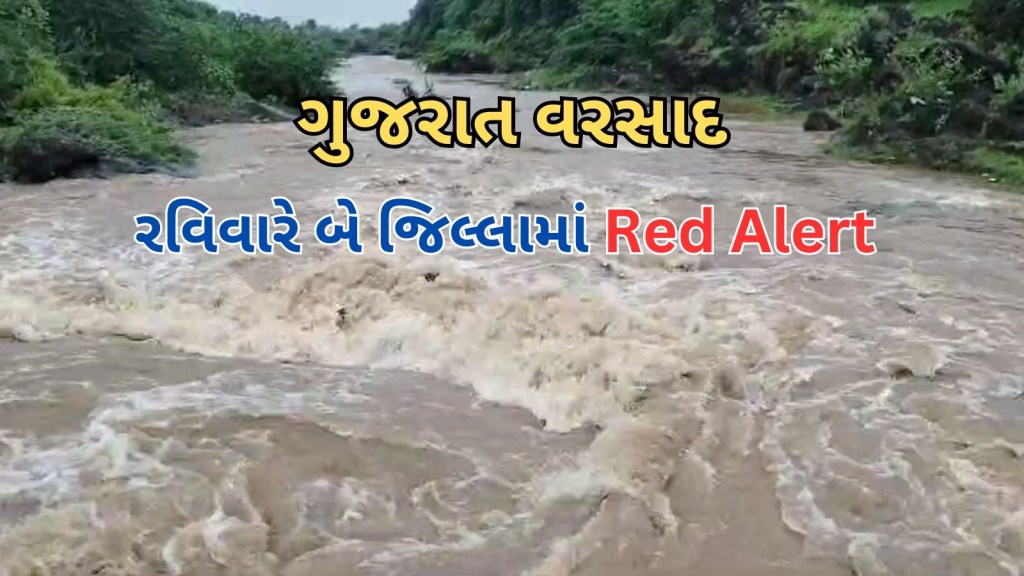ગુજરાત વરસાદ : રાજ્યમાં વરસાદની ગતિ ધીમી, રવિવારે બે જિલ્લા માટે Red Alert