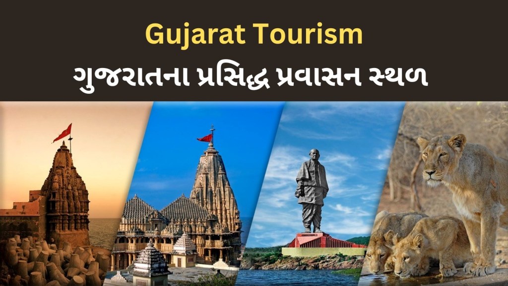 ગુજરાત ટુરિઝમ : ઉનાળા વેકેશનમાં 1.35 કરોડ લોકોએ ગુજરાતના પ્રવાસન સ્થળોની લીધી મુલાકાત, જુઓ કયું સ્થળ હોટ ફેવરિટ? ગુજરાત ટુરિઝમ : ઉનાળા વેકેશનમાં 1.35 કરોડ લોકોએ ગુજરાતના પ્રવાસન સ્થળોની લીધી મુલાકાત, જુઓ કયું સ્થળ હોટ ફેવરિટ?