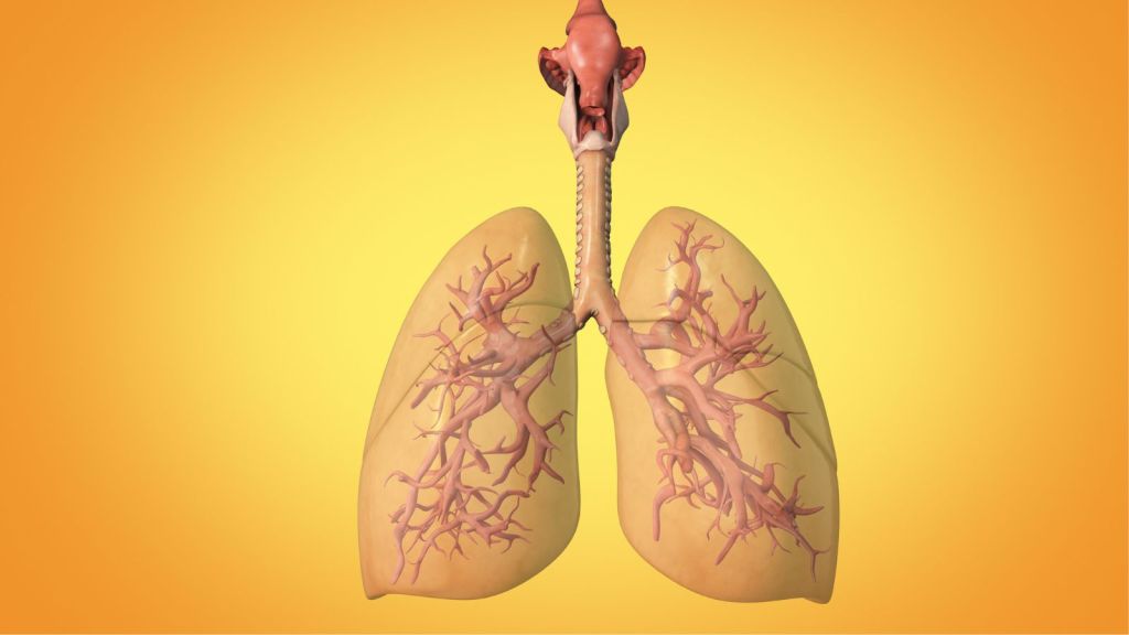 Lung Cancer : ભારતમાં ફેફસાના કેન્સરના મોટાભાગના દર્દીઓએ જીવનમાં કદી ધૂમ્રપાન કર્યું નથી, તો કારણ શું છે? જાણો