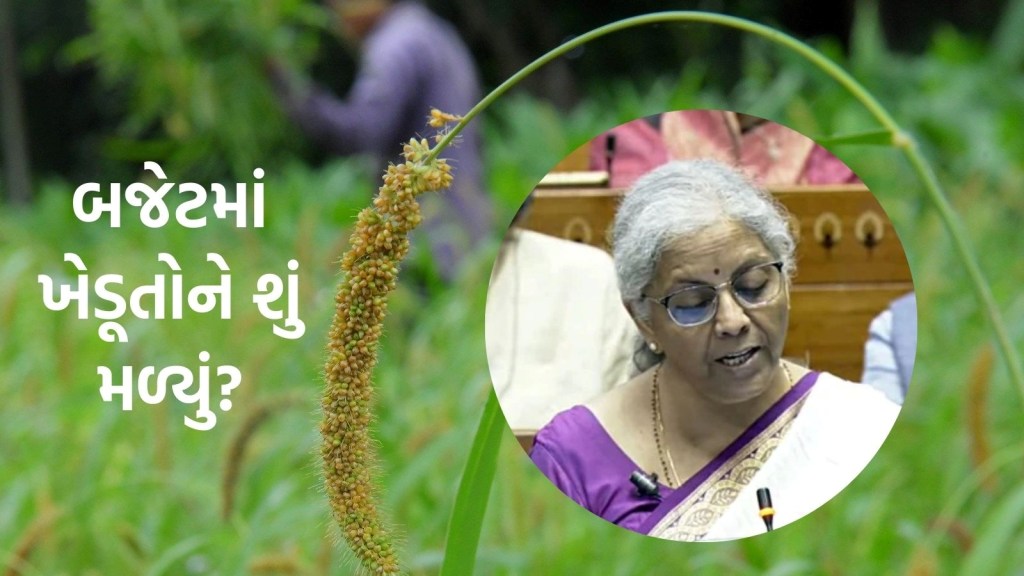 Budget 2024: બજેટ 2024 નાણામંત્રી નિર્મલા સીતારમણ ખેડૂતો માટે શું લાવ્યા? જાણો કિસાનોને શું મળ્યું? Budget 2024: બજેટ 2024 નાણામંત્રી નિર્મલા સીતારમણ ખેડૂતો માટે શું લાવ્યા? જાણો કિસાનોને શું મળ્યું?